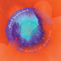 Saafi Brothers - The Quality of Being One