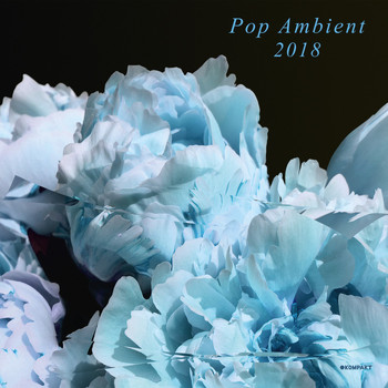 Various Artists - Pop Ambient 2018