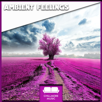 Various Artists - Ambient Feelings