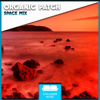 Organic Patch - Space Mix