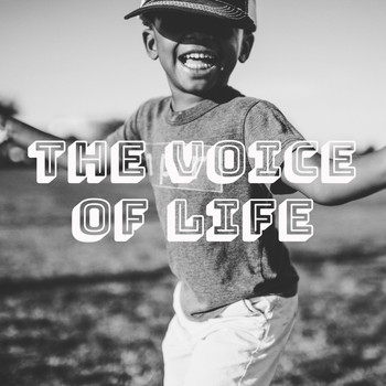 Various Artists - The Voice of Life