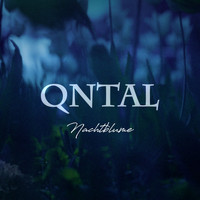 Qntal - Nachtblume