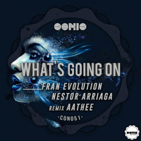 Fran Evolution & Nestor Arriaga - What's Going On
