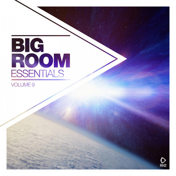 Various Artists - Big Room Essentials, Vol. 9