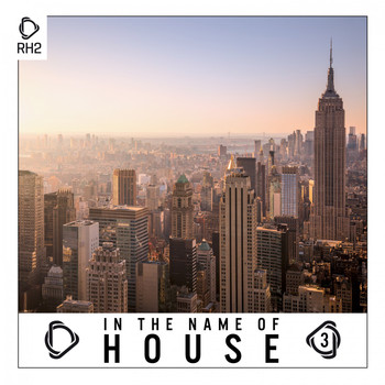 Various Artists - In the Name of House, Vol. 3