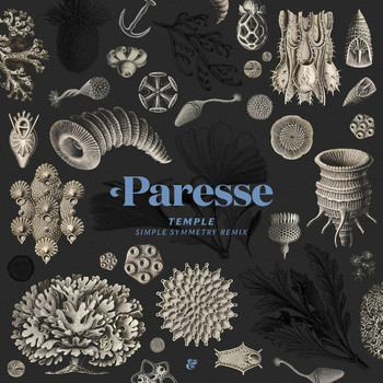Paresse - Temple (Simple Symmetry Remix)