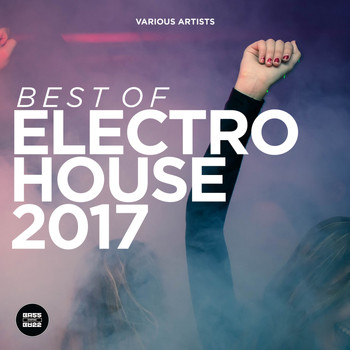Various Artists - Best of Electro House 2017