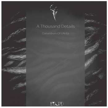 A Thousand Details - Conundrum Of Life Ep