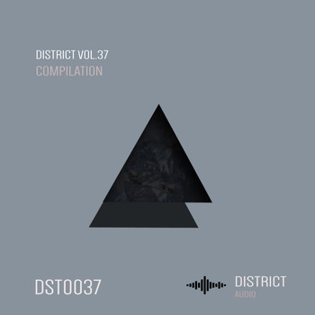 Various Artists - District 37