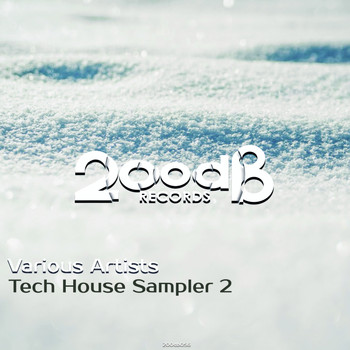 Various Artists - Tech House Sampler 2