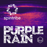 Spintribe - Purple Rain