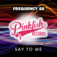 Frequency 88 - Say To Me