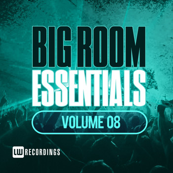 Various Artists - Big Room Essentials, Vol. 08