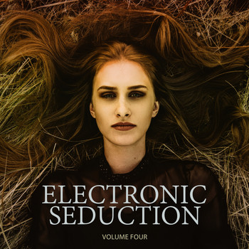 Various Artists - Electronic Seduction, Vol. 4 (Pure Deep House Pleasure)