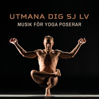 Namaste läkning yoga - Utmana dig själv (Musik för yoga poserar - Dagliga yogaövningar, Zen musik för kropps och sinneutbildning)