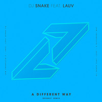 DJ Snake - A Different Way (DEVAULT Remix)