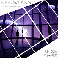 Bass Junkies - Stargazing