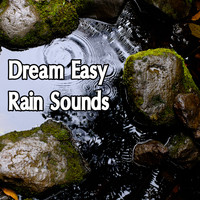Rain Sounds, Meditation Music Zone, Nature Sounds Nature Music - 17 Dream Easy Rain Tracks