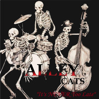 Alley Cats - It's Never Too Late