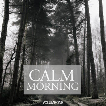 Various Artists - Calm Morning, Vol. 1