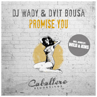 DJ Wady & Dvit Bousa - Promise You