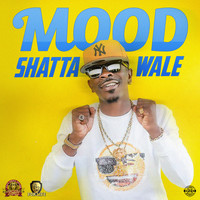 Shatta Wale - Mood