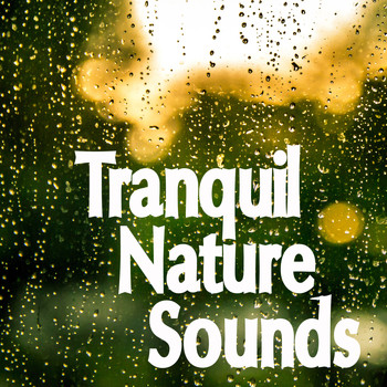 Zen Music Garden, White Noise Research, Nature Sounds - 20 Tracks of Tranquil Nature and Relaxing Rain Sounds