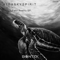 Alexskyspirit - Fake Reality EP