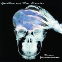 Bruce Zimmerman - Guitar on the Brain