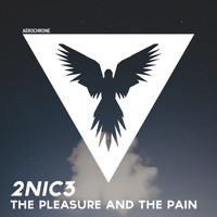 2NIC3 - The Pleasure and the Pain