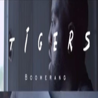 Tigers - Boomerang