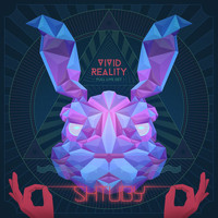 Shtuby - Vivid Reality (Solo)