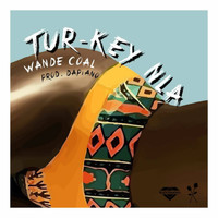 Wande Coal - Tur-Key Nla (Explicit)