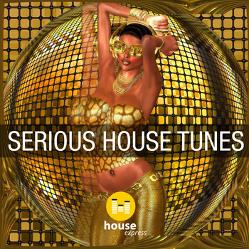 Various Artists - Serious House Tunes (Explicit)