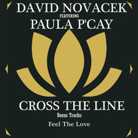 David Novacek - Cross The Line