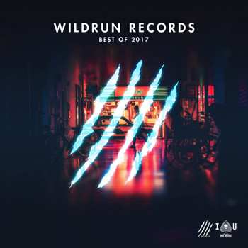 Various Artists - Wildrun Records: Best Of 2017