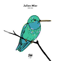 Julien Mier - Hum of the Hummingbirds