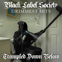 Black Label Society - Trampled Down Below