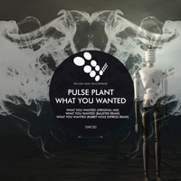 Pulse Plant - What You Wanted