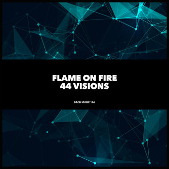 Flame On Fire - 44 Visions