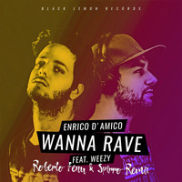 Enrico D'Amico - Wanna Rave (Roberto Fenu & Spirro Remix)