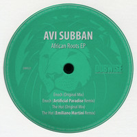 Avi Subban - African Roots