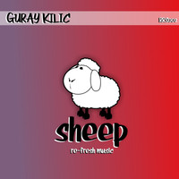 Guray Kilic - Sheep