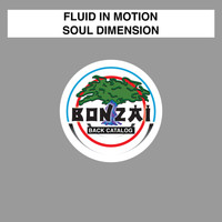 Fluid In Motion - Soul Dimension