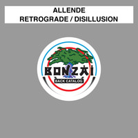 Allende - Retrograde / Disillusion