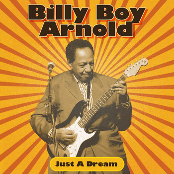 Billy Boy Arnold - Just A Dream (Explicit)