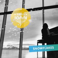 David Ianni - Snowflakes