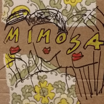 Mimosa - Mimosa