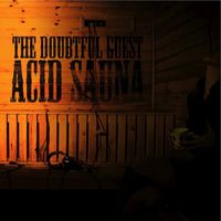The Doubtful Guest - Acid Sauna