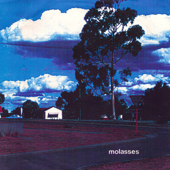 Molasses / Minimum Chips - Molasses / Minimum Chips Split
